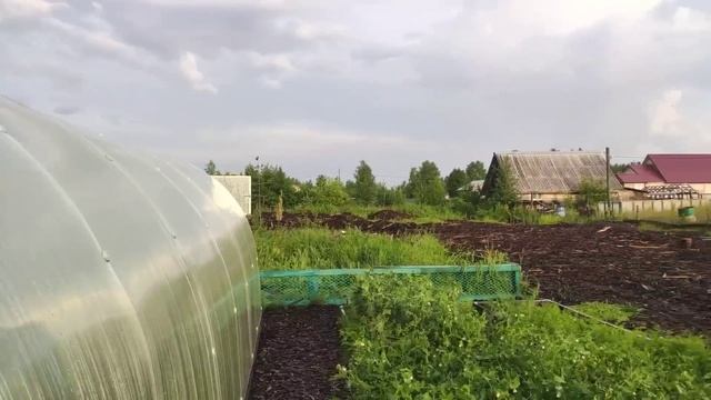 Ливень ,град/забыли закрыть окно/остались без электричества/готовим ужин на костре. смотреть онлайн