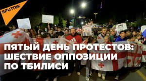 Оппозиция устроила ночное шествие по главным улицам Тбилиси