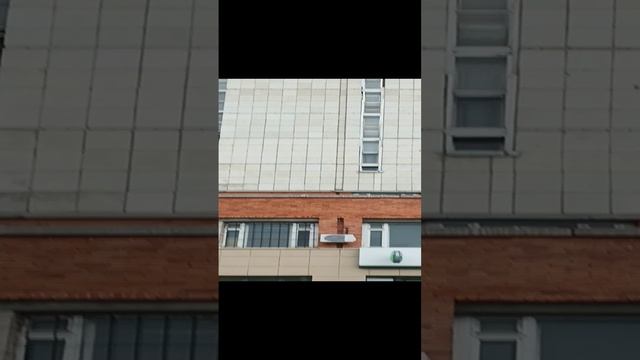 В Кольцово❤ Кольцов Николай Константинович
