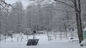 Off Grid Homestead Under Snow & Working On Running Water