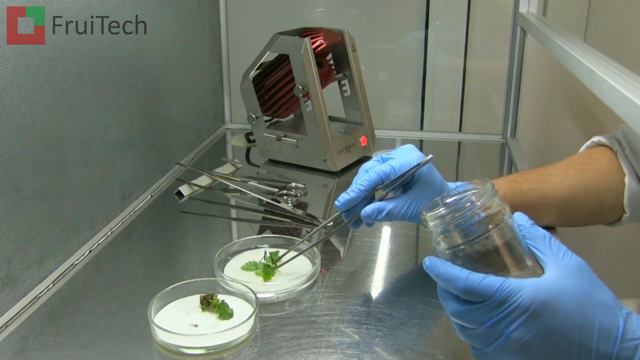 Ін-вітро лабораторія ФруТек \ FruiTech in-vitro laboratory смотреть онлайн