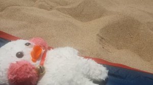 Уточка лалафанфан на море. утя загорает на пляже
