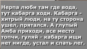 Чербелоидный подкаст #279 - Хитрая кабарга и глупый Амба