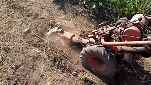 MF-70 Копаем картофель  (неудачный вариант)