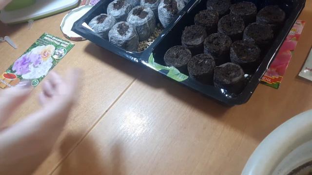 Сажаем цветы Петуния смотреть онлайн