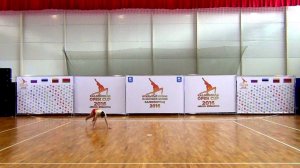 AEROBIC GYMNASTICS  AG1 IW Артемчук Варвара   Тюмень
