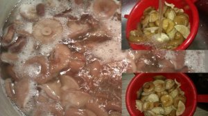 Волнушки горячим способом