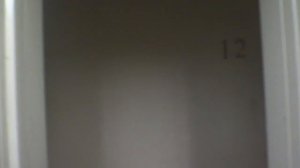 Электрический лифт V=1 м-с, грузоподъемность 400 кг (2417), музыкальный лифт Ecomaks