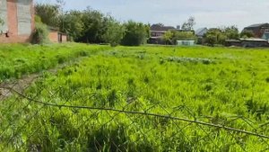 Продается земельный участок в станице Стародеревянковская Краснодарского края, цена 700000 рублей