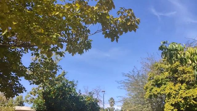 VLOG CON DANITZA ❤️ смотреть онлайн