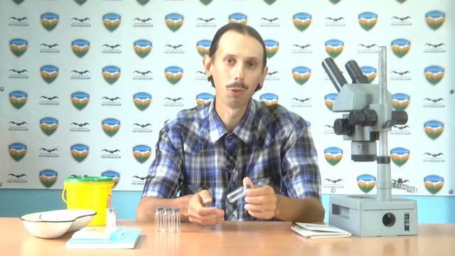 Живая вода. Наблюдение за водными организмами