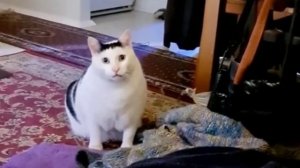 Сандра Мантика - В Чем Сила ?