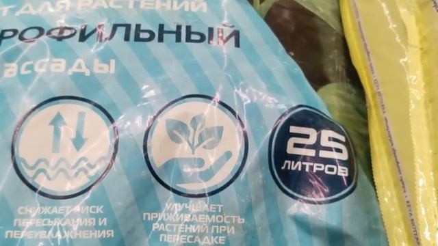 ?Саженцы Роз в Леруа Мерлен⚘Хорошо Разбирают?? смотреть онлайн