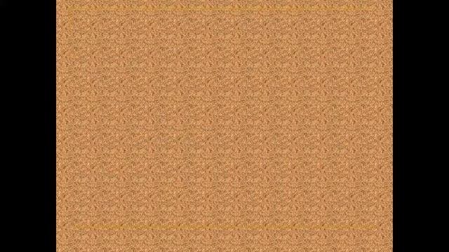 Диалектизмы