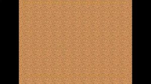 Диалектизмы