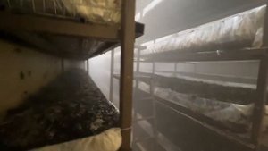 ПЕРВЫЙ КОРПОРАТИВ НА ГРИБНОЙ ФЕРМЕ _ ИНЖЕНЕР ИЗ КРАСНОДАРА В ЧЕЛЯБИНСК