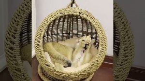 Лежанка для кошек ручной работы, круглый гамак для домашних животных, домашняя плетеная кровать