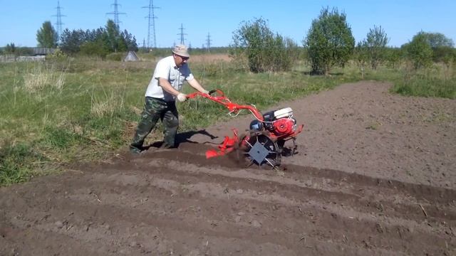 Мото культиватор Салют, нагоняет баровки смотреть онлайн