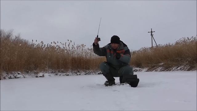 В поисках подводных хищников. Атаки Костанайских окуней. часть 1. смотреть онлайн