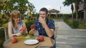 ДРАКОНОВЫЙ ФРУКТ | ПИТАЙЯ | ПИТАХАЙЯ | DRAGON FRUIT