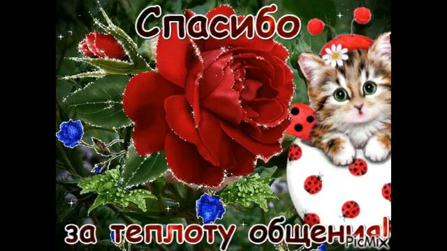 С МЕЖДУНАРОДНЫМ Днём  " СПАСИБО"  ...для ВАС мои ВЕРНЫЕ  ДРУЗЬЯ !  Красивая музыкальная открытка. смотреть онлайн