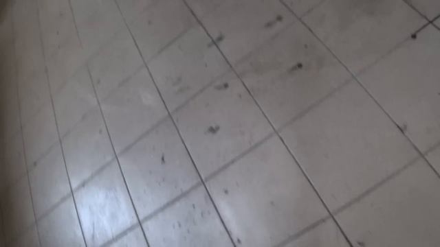 KODIAQ 2.0 замена масла ДВС с осмотром ходовой и тормозной . Отчёт для подписчика с г Югорска. смотреть онлайн