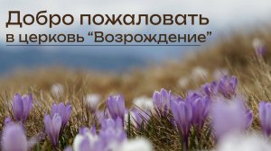 Воскресное служение. Проповедь - "Обетование о Семени", Алексеенко Алексей 26.03.2023