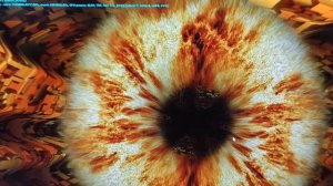 Тест Asus Geforce RTX 3080 TUF Gaming в проге FurMark