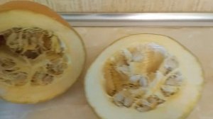 Тыква грибовская кустовая 189, обзор. Классная дача.