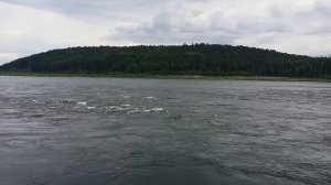 "Пока Река"-автор песни Андрей Иголкин...Очень хорошая песня , обожаю её.