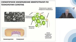 20.11.2020 - Вебинар "Больной с внебольничной инфекцией нижних дыхательных путей"