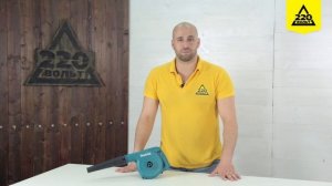 Электрическая воздуходувка MAKITA UB1101