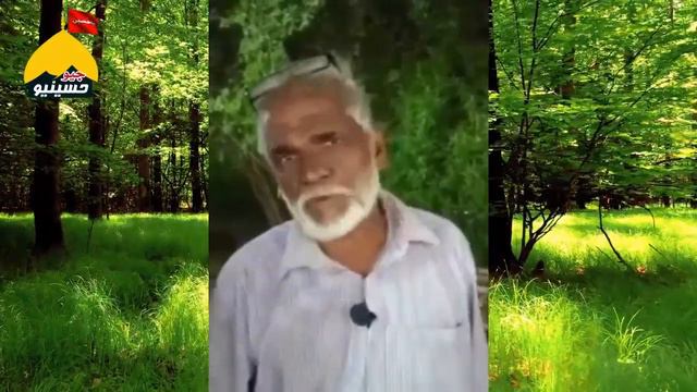 Sipah sahaba k Yazeed Zindabad k Nare ka Jawab | Azmat Sahaba Yazeed Conference 2020 смотреть онлайн