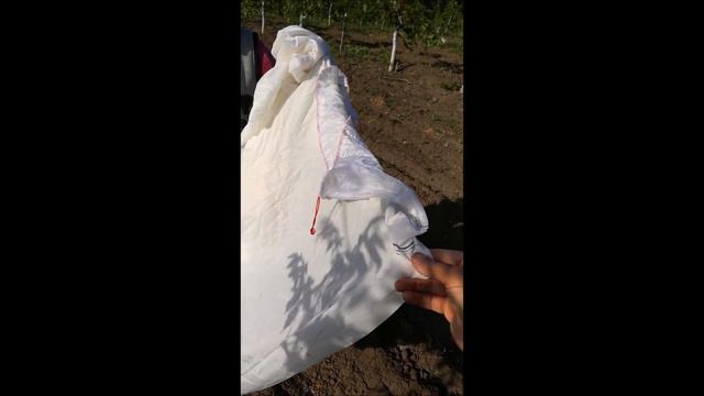 Гибридизация Чандлера 02.05.18г