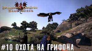 Охота на грифона - Dragons Dogma Dark Arisen прохождение часть #10