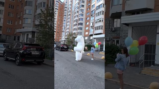 Поздравление белого медведя с днем рождения смотреть онлайн