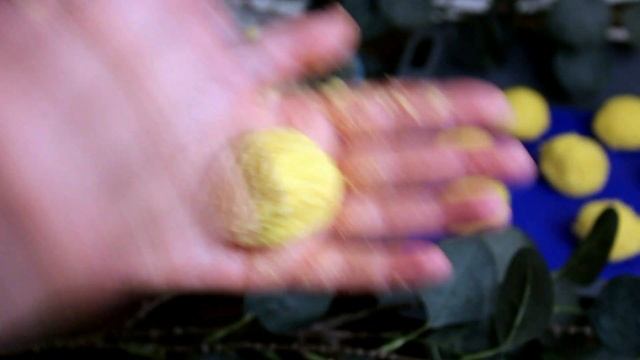 Кокосовое Печенье | Райское Наслаждение! смотреть онлайн