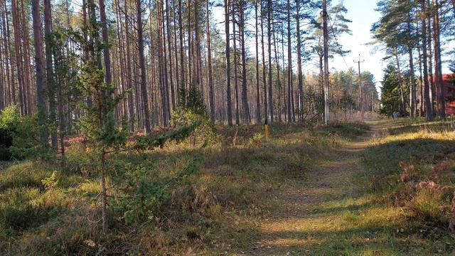 Чудское озеро осенью.Привет с дачи.Как тут тихо,красиво! Пришлось заночевать.Дачный влог из Эстонии