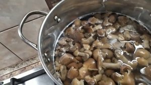 Маринованные грибы " КОЛПАК КОЛЬЧАТЫЙ"