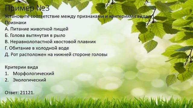 ЕГЭ Биология Задание №16 Часть 2 смотреть онлайн