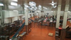 Линия упаковки колбасы (завод "Черкизово" в Кашире)