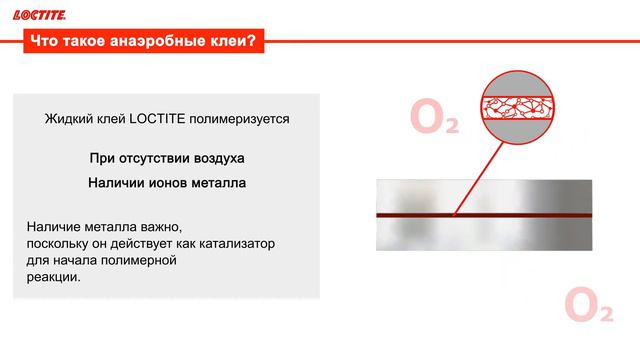 Принцип действия анаэробов