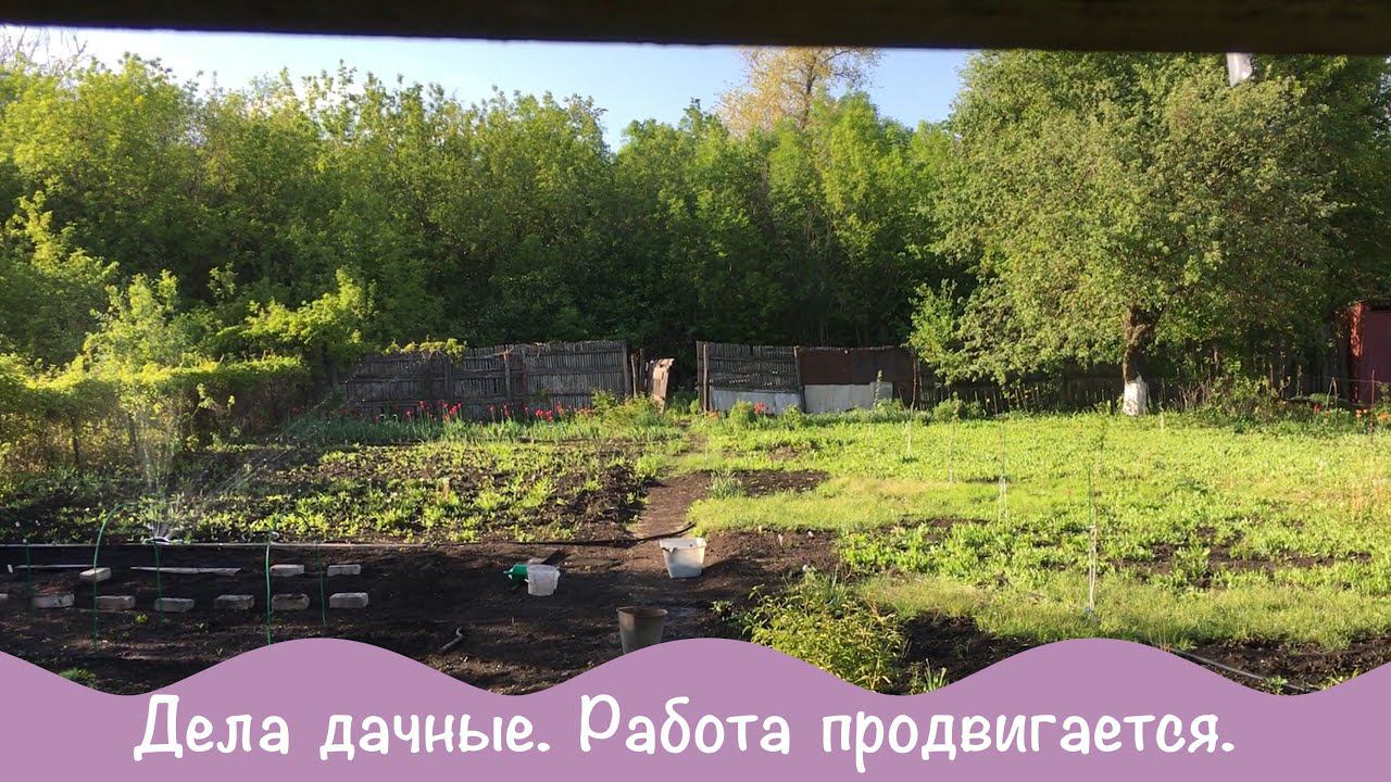Дела Дачные. Про дачу № 21