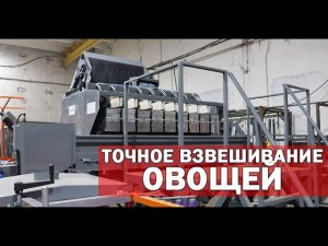 Оборудование для взвешивания овощей (видео)