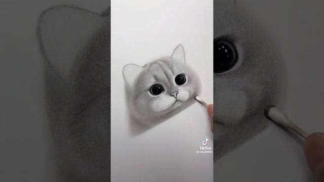 cat/рисунок кота