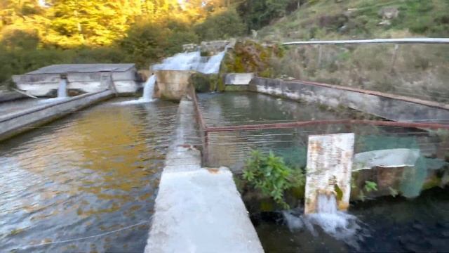 Греки устроили рыбную ферму и таверну при ней 4[K]Греческий посёлок Ангистрон. смотреть онлайн