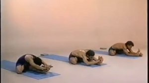 Аштанга Виньяса Йога с Потапхи Джойсом