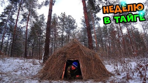 Настоящее выживание в лесу без нечего. Двое суток в лесу Выживание в лесу зимой.