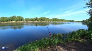 ОБНОВКА! Feeder Concept Compact - фидерное кресло прошло обкатку на весеннем Днепре!