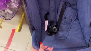 Прогулочная коляска Everflo Easy